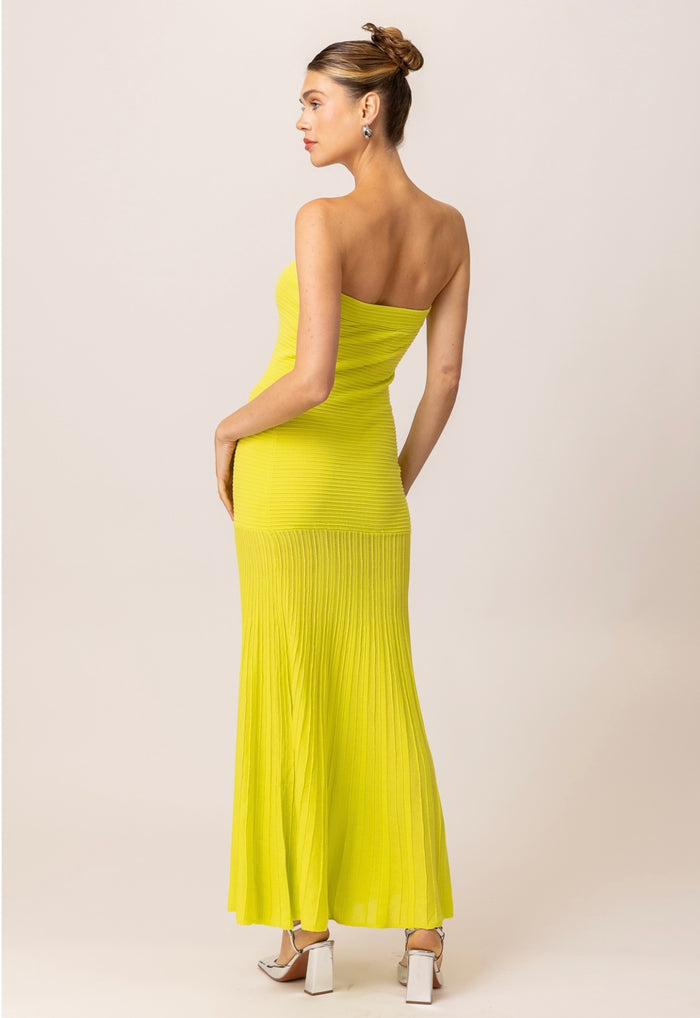 Strapless Maxi Dress by Line and Dot