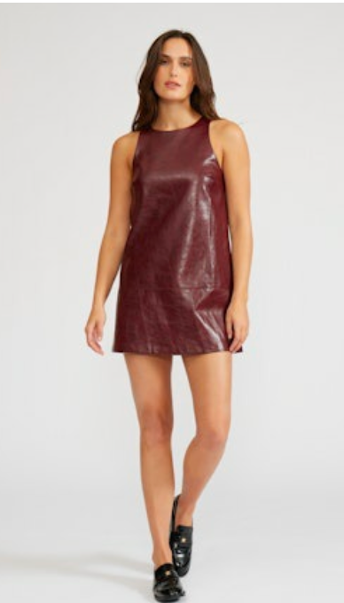 Vegan Leather Red Mini Dress by Lucy Paris