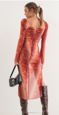 Butterfly Printed Mesh Ruched Dress
