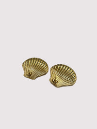 Shell Earrings by Charzie Jewelry