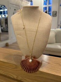 Natural Scallop Shell with Freshwater pearl Necklace by Kimberly Aman