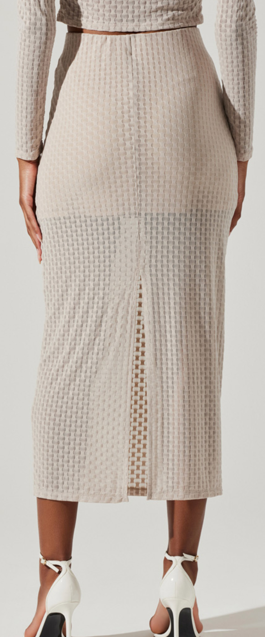 Sheer Skirt by ASTR the Label