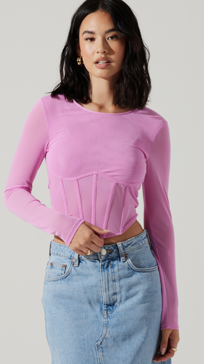 Kezia Mesh Sheer Long Sleeve Top by ASTR the Label