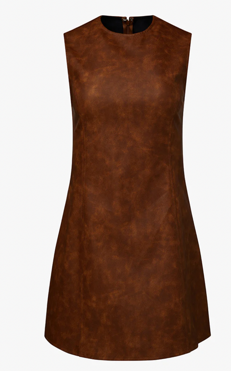 Vegan Leather Mini Dress by We Wore What