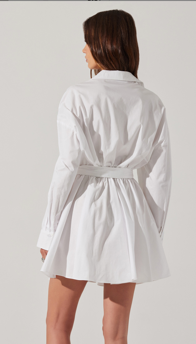 Winica Button Down White Mini Dress By Astr the Label