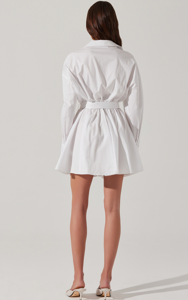 Winica Button Down White Mini Dress By Astr the Label