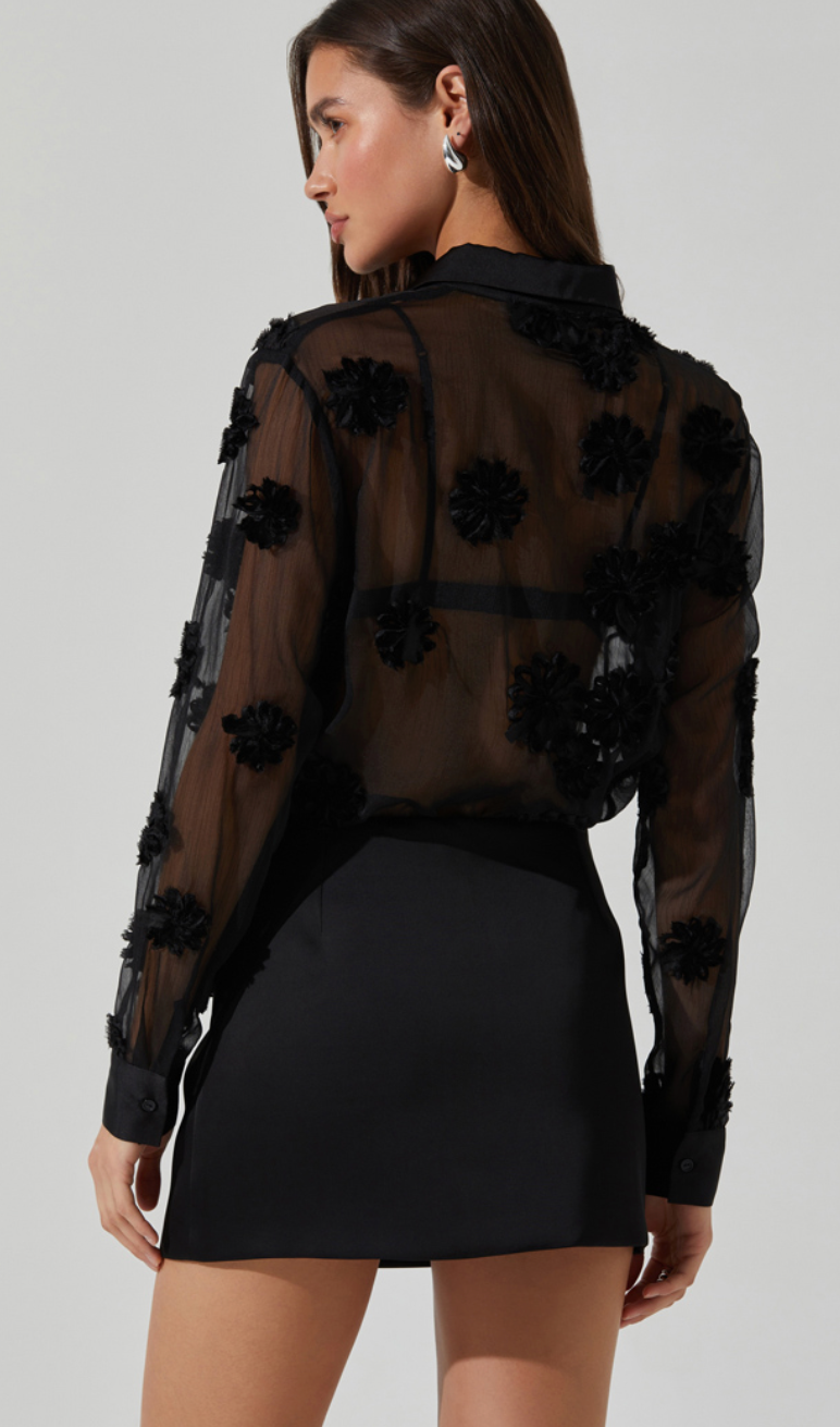 Sheer Button Down Shirt by Astr the Label