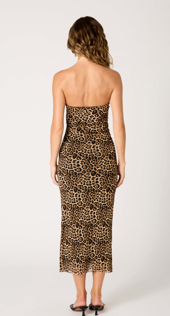 Rowa Strapless Mesh Midi Dress in Brown or Cheetah by NIA
