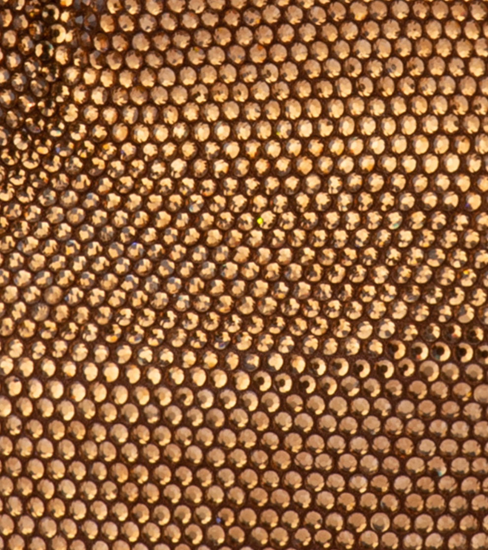 Bronze Sequin bag by Olga Berg