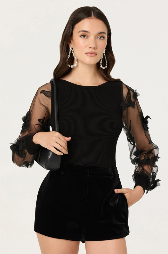 Megan Black Organza Sheer Long Sleeve Top by ASTR the Label
