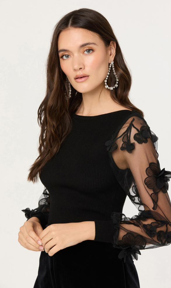 Megan Black Organza Sheer Long Sleeve Top by ASTR the Label