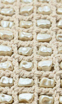 Pearl & Shell Beaded Clutch and Crossbody Bag
