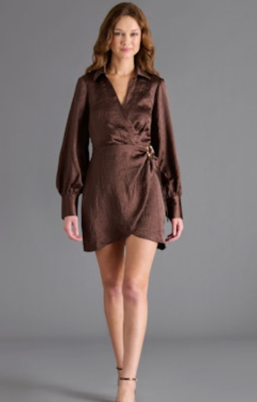 Ailani Brown Satin Mini Dress by Steve Madden
