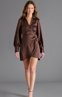 Ailani Brown Satin Mini Dress by Steve Madden