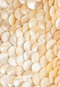 Seashell Shoulder Bag