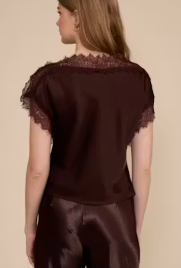 Brown Lace Top By Lucy Paris