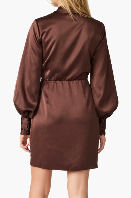 Ailani Brown Satin Mini Dress by Steve Madden