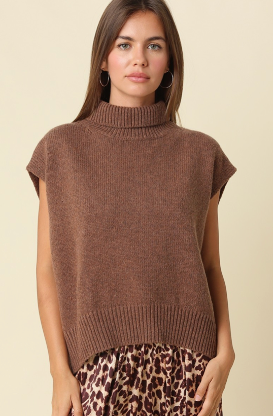 Mock Neck Sweater (available in Brown or Black)