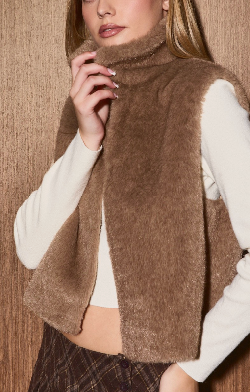 Faux Fur Vest