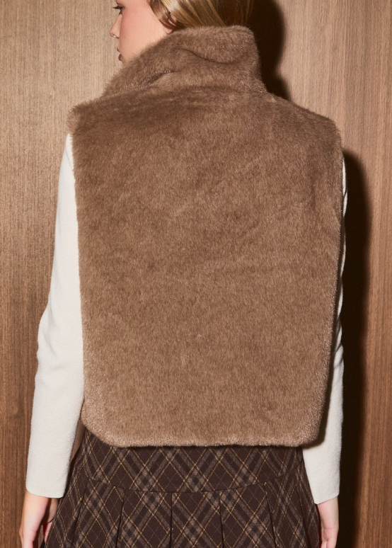 Faux Fur Vest
