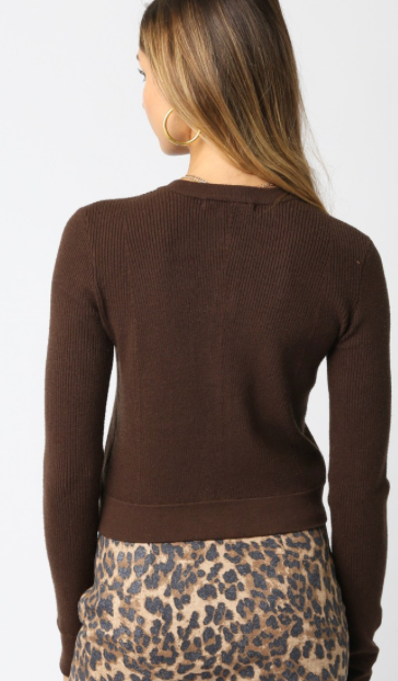 Button Down Sweater in Brown or Cream