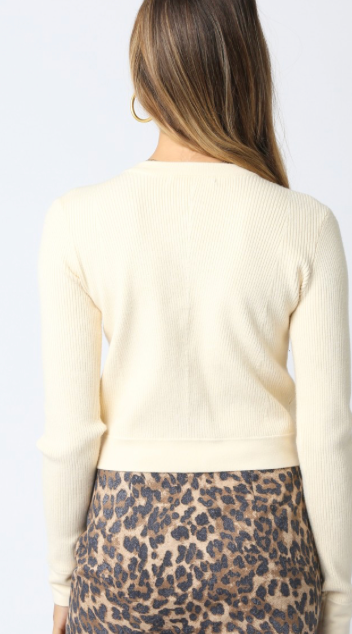 Button Down Sweater in Brown or Cream