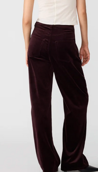 Sydnee Velvet Pant by Steve Madden